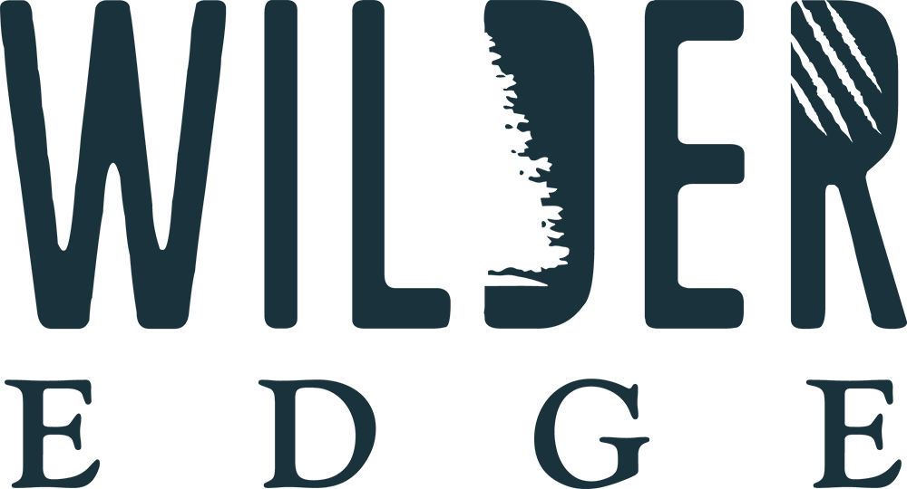 blog brand identity with rugged outdoor typography and textured character design